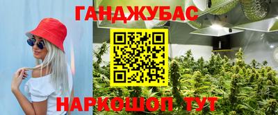 таблы Новокубанск