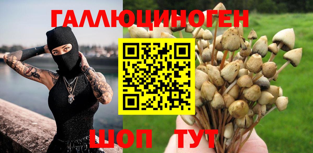 Реж  Галлюциногенные грибы MAGIC MUSHROOMS  Вход с VPN 