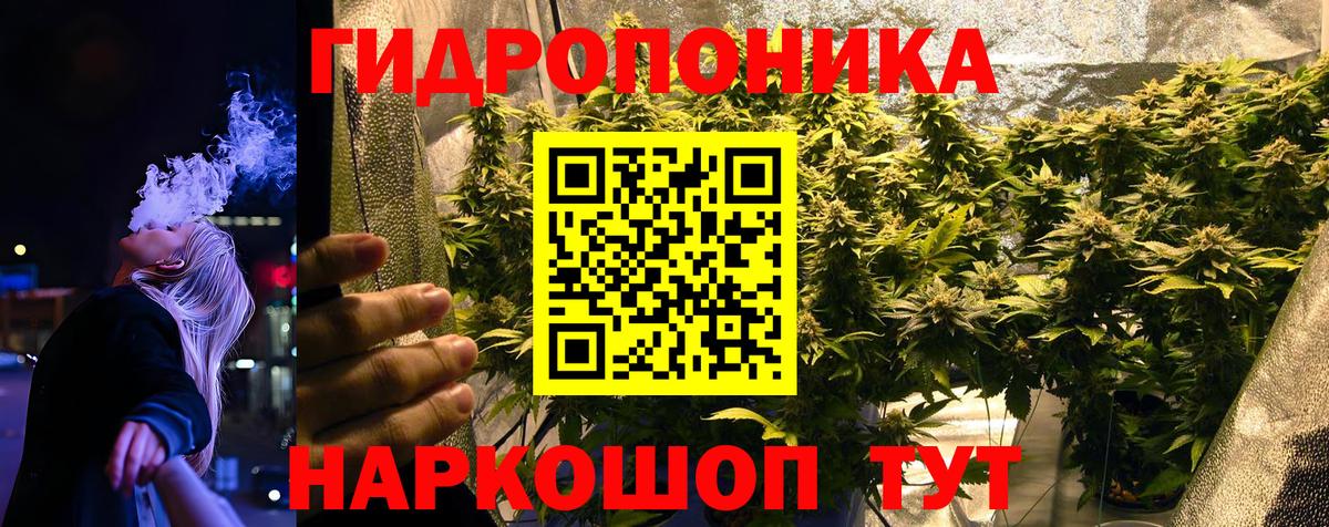 Реж  Бошки Шишки SATIVA & INDICA  Конопля индика  Шишки марихуана THC 21%  Вход с VPN  Шишки марихуана SATIVA & INDICA 